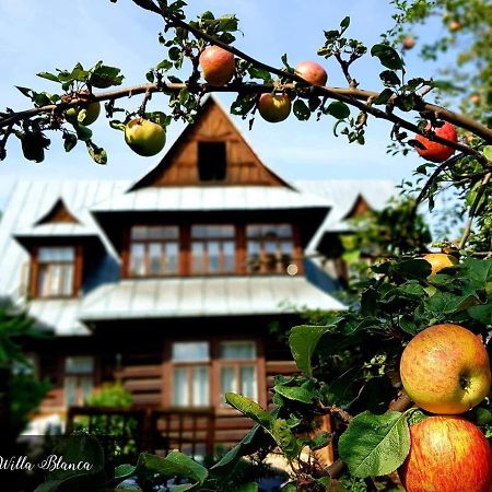 Bed and Breakfast Willa Blanca Закопане Екстер'єр фото