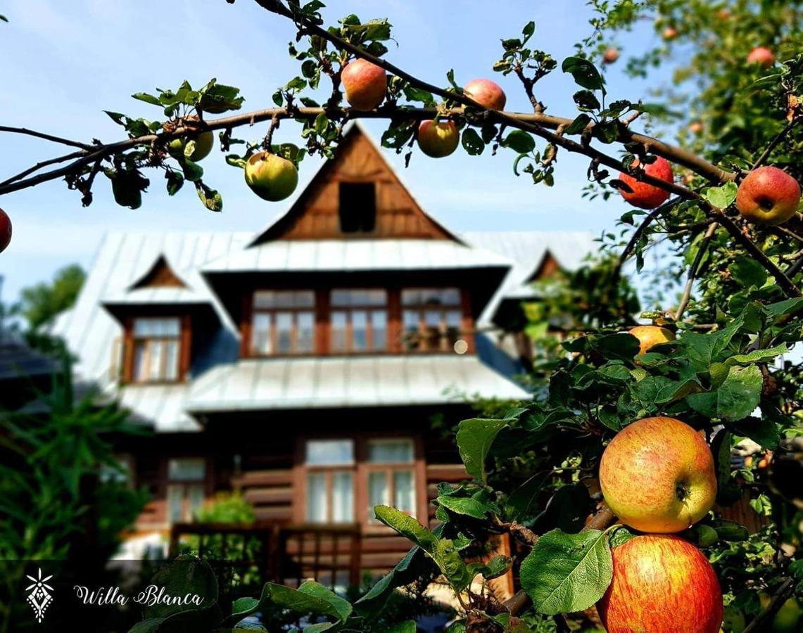 Bed and Breakfast Willa Blanca Закопане Екстер'єр фото